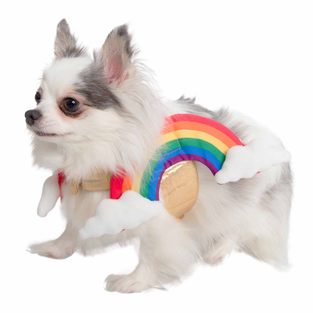 Pet Krewe Rainbow Costume for Cats & Dogs