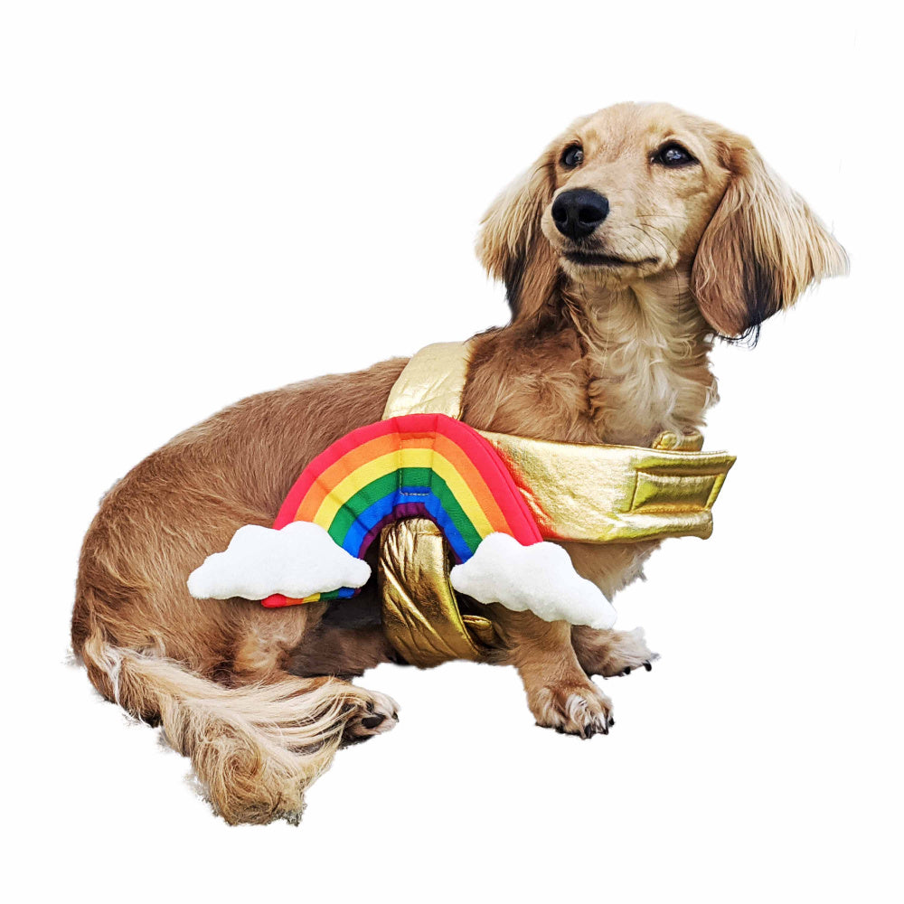 Pet Krewe Rainbow Costume for Cats & Dogs