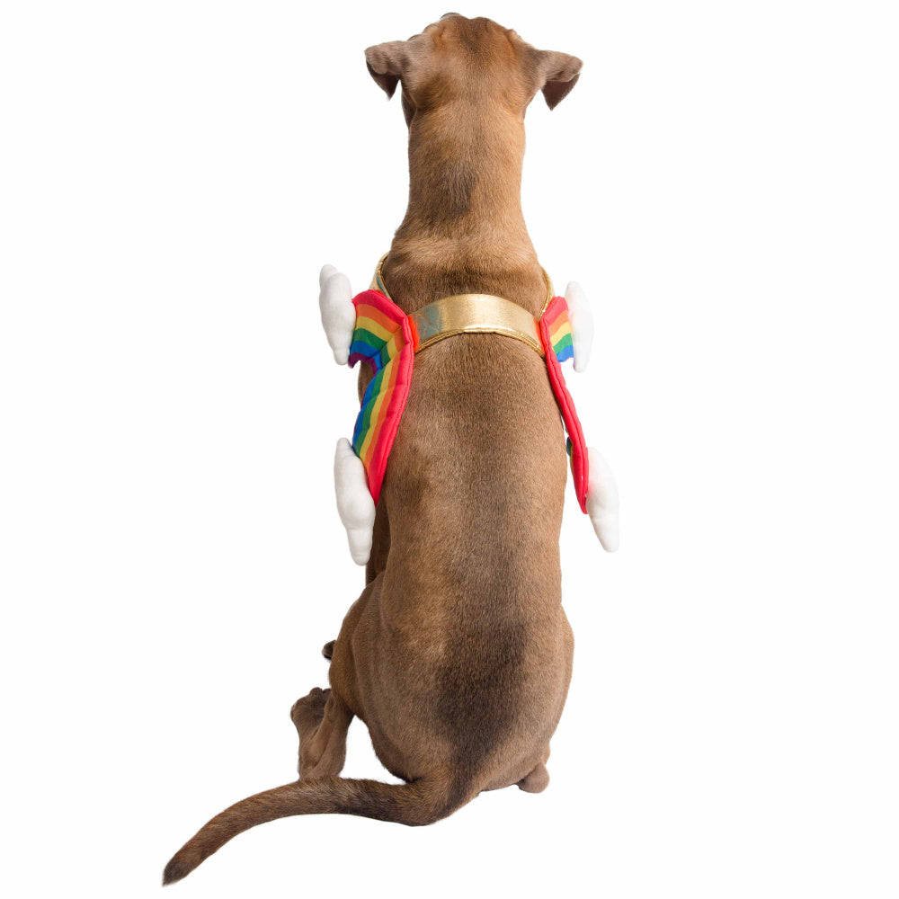 Pet Krewe Rainbow Costume for Cats & Dogs