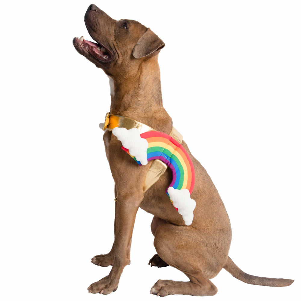 Pet Krewe Rainbow Costume for Cats & Dogs