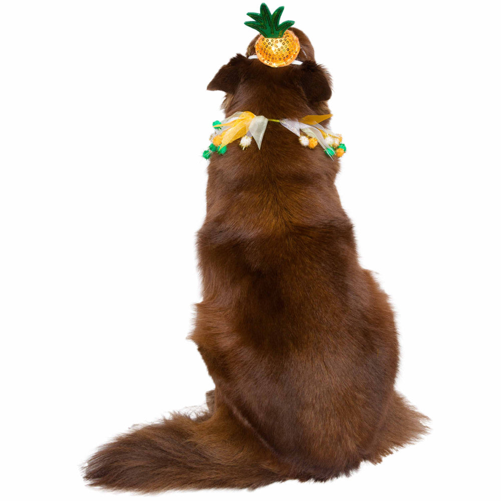 Pet Krewe Pineapple Hat & Collar Set for Cats & Dogs