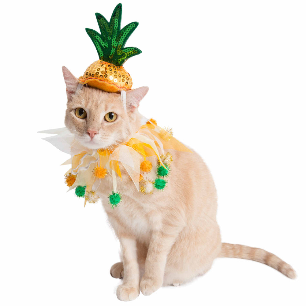 Pet Krewe Pineapple Hat & Collar Set for Cats & Dogs