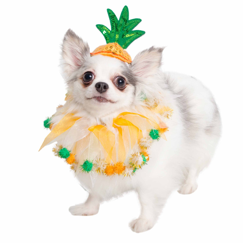 Pet Krewe Pineapple Hat & Collar Set for Cats & Dogs