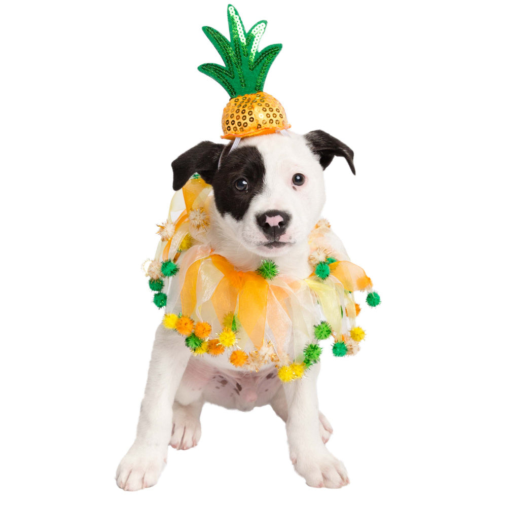 Pet Krewe Pineapple Hat & Collar Set for Cats & Dogs