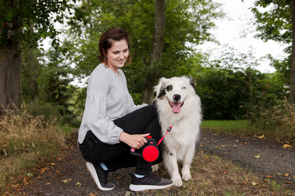 Wigzi Gel Handle Reflective Tape Red Retractable Dog Leash