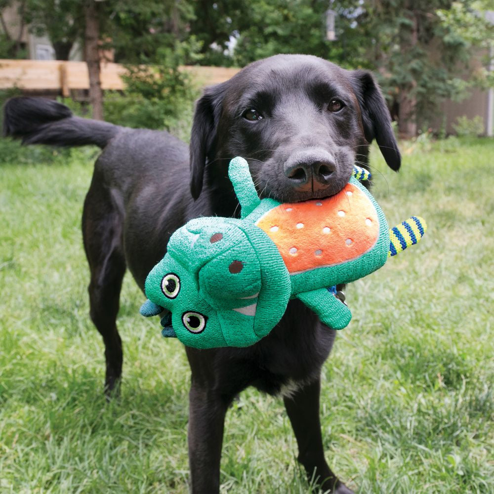 KONG Whoopz Gator Dog Toy