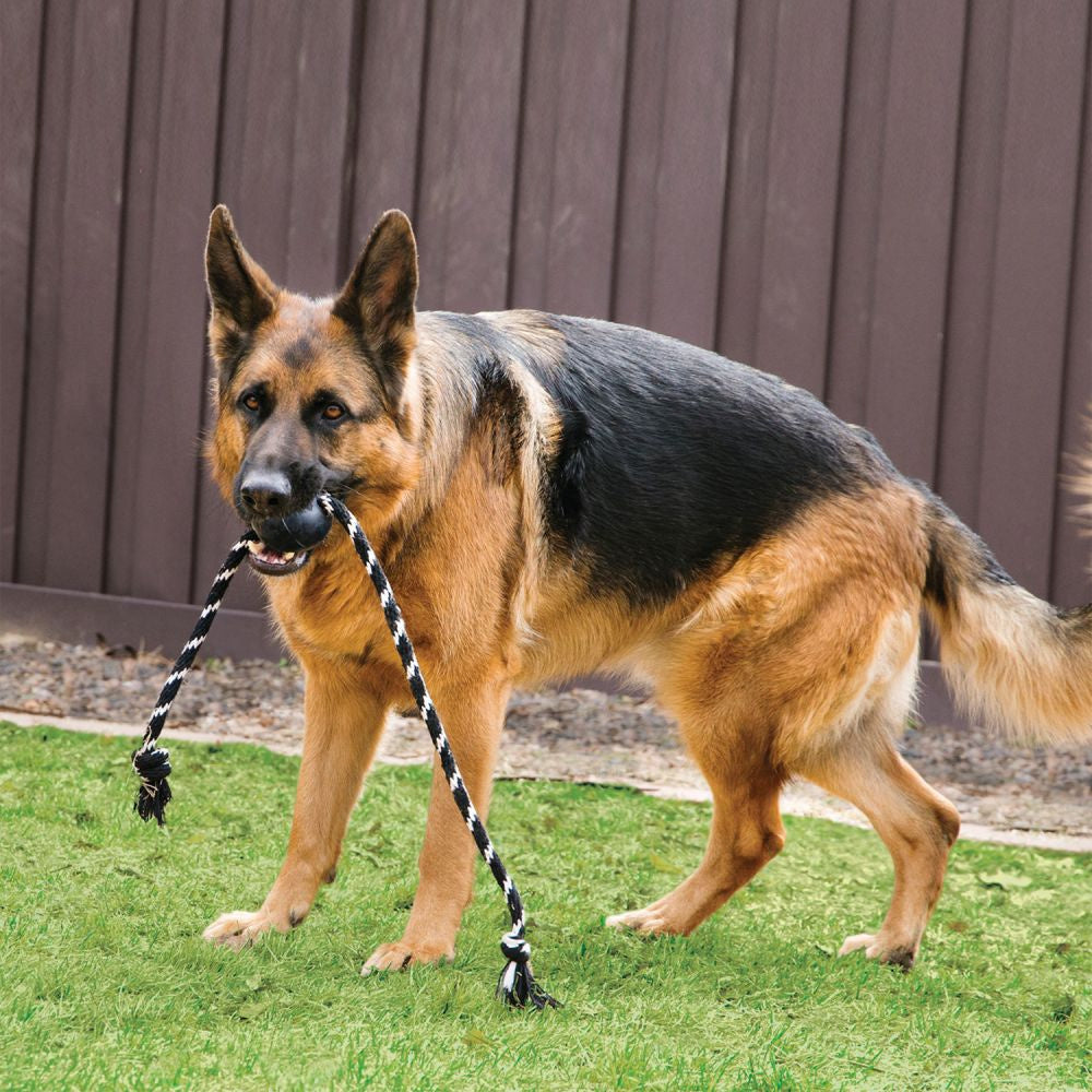 KONG Extreme Ball with Rope Dog Toy