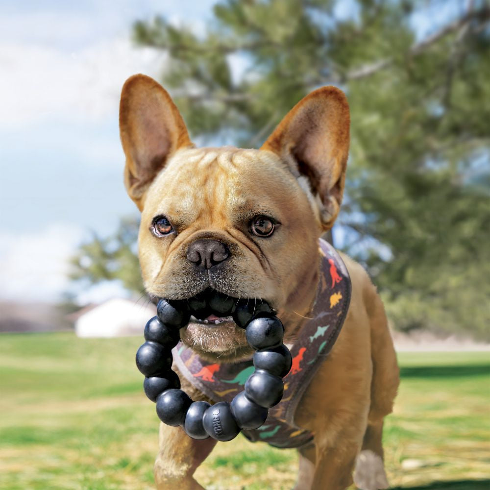 KONG Extreme Ring Dog Toy