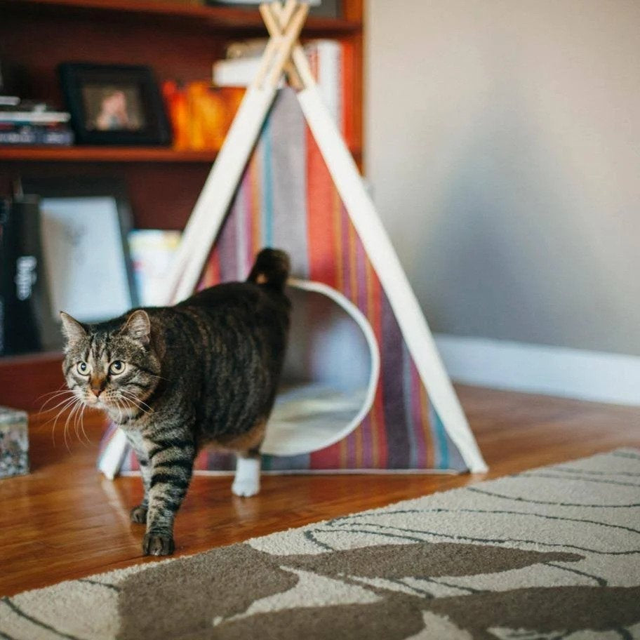 P.L.A.Y. Horizon Pet Teepee, Desert