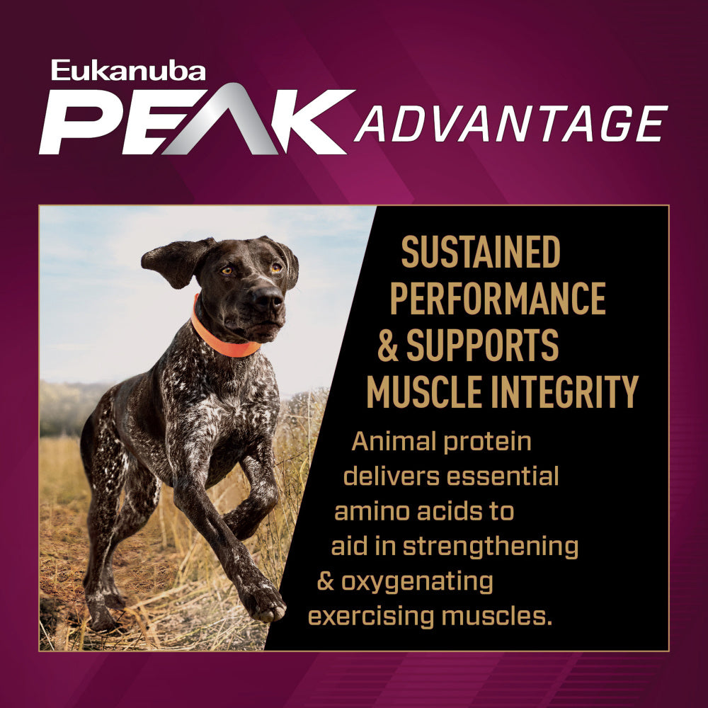 Premium Performance 30/20 Sport Adult Dry Dog Food