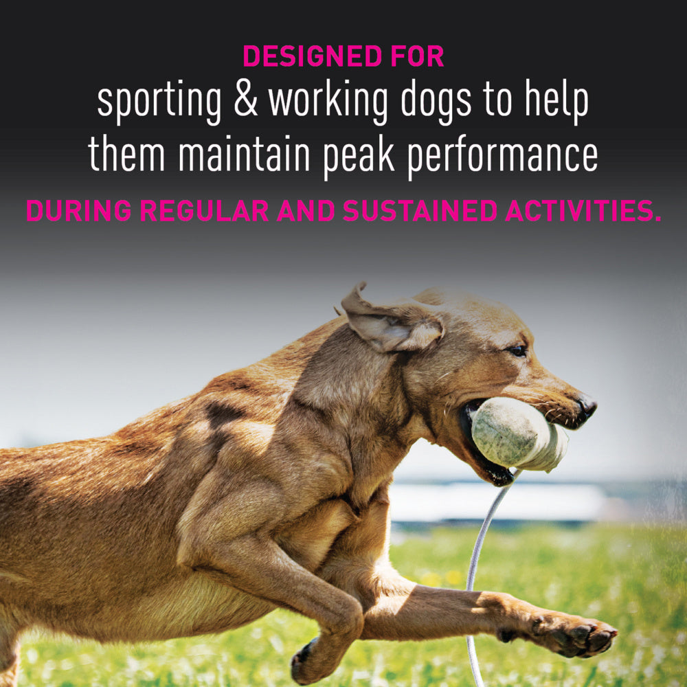 Premium Performance 30/20 Sport Adult Dry Dog Food