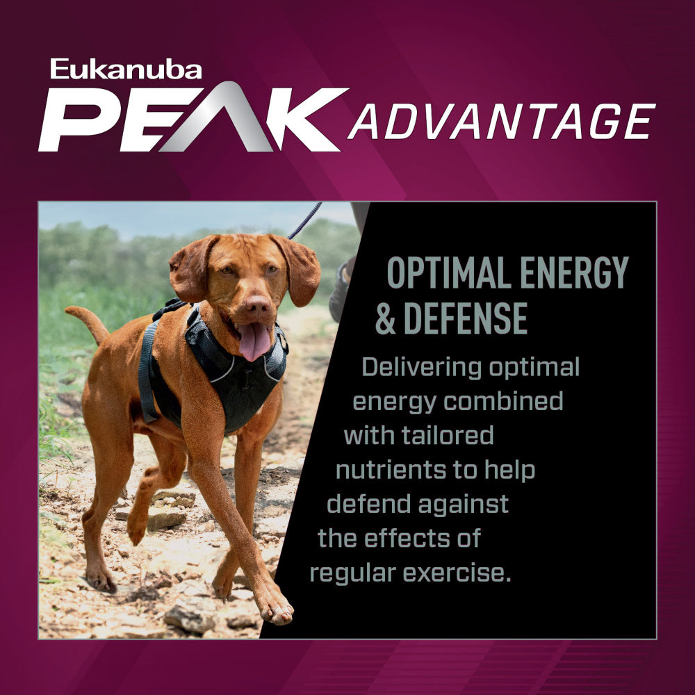 Premium Performance 26/16 Exercise Dry Dog Food