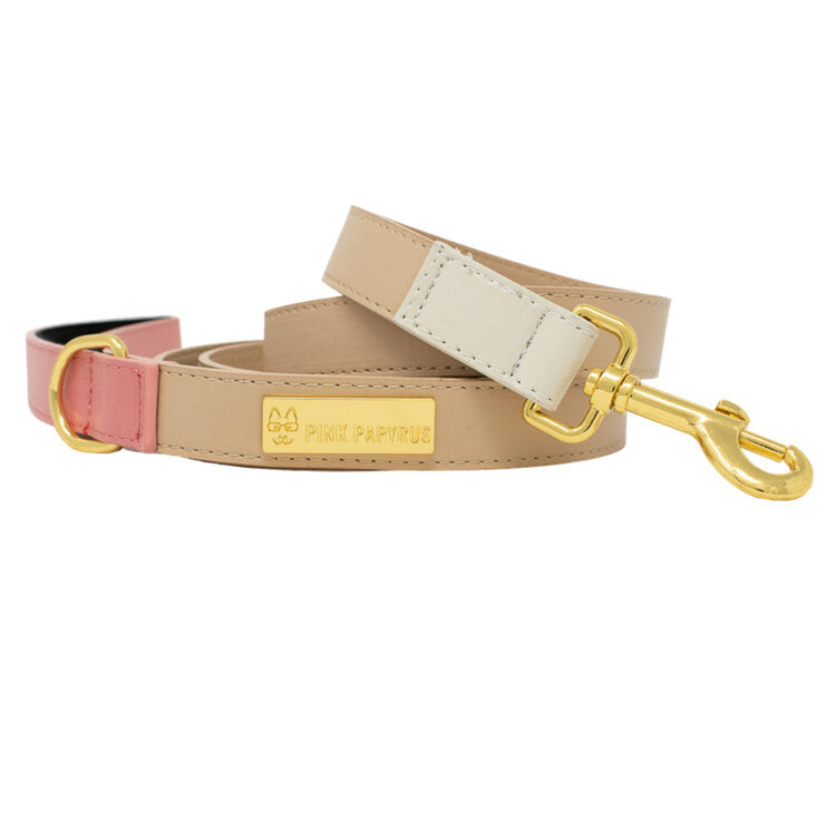 Pink Papyrus Lola Leash & Kylie BFF Mini Bundle Gift Set