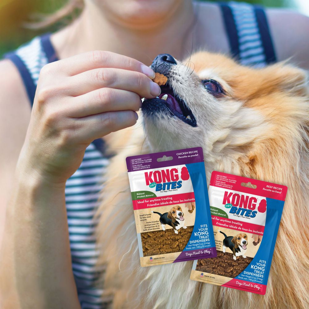 KONG Bites Mini Chicken Dog Treats