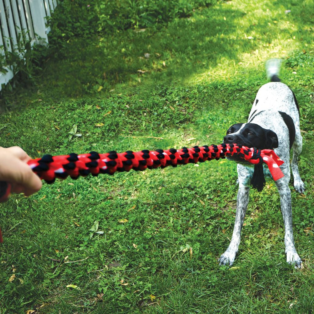 KONG Signature Rope Dual Knot Dog Toy