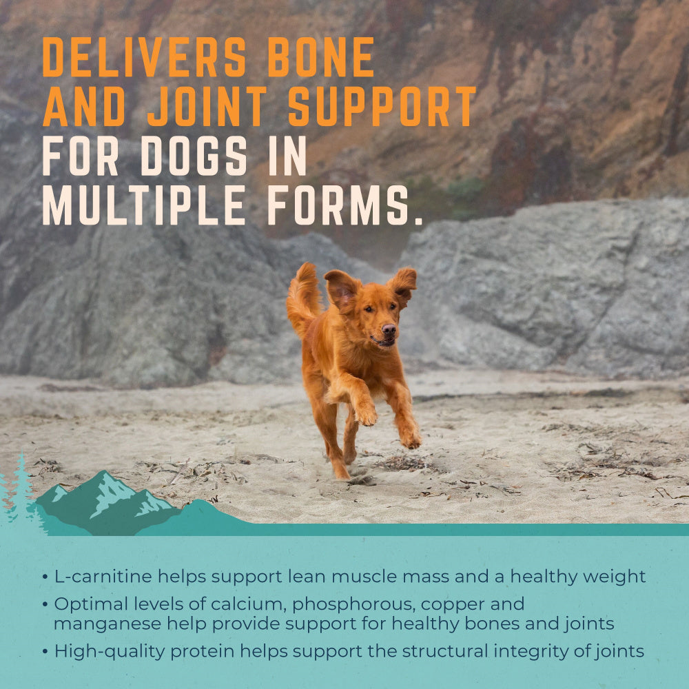 Natural Balance On the Move Chicken & Barley Formula Dry Dog Food