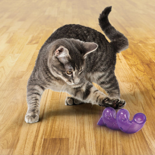 KONG Bat-A-Bout Spiral Cat Toy