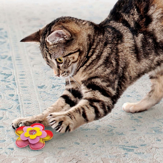 KONG Crackles Bloomz Cat Toys