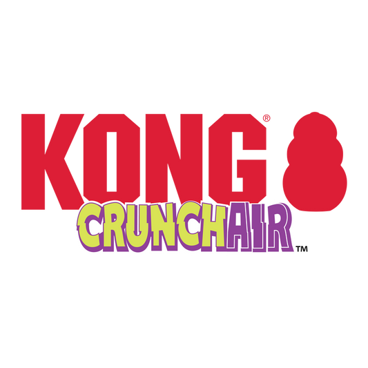 KONG Crunch Air Ball  Dog Toy