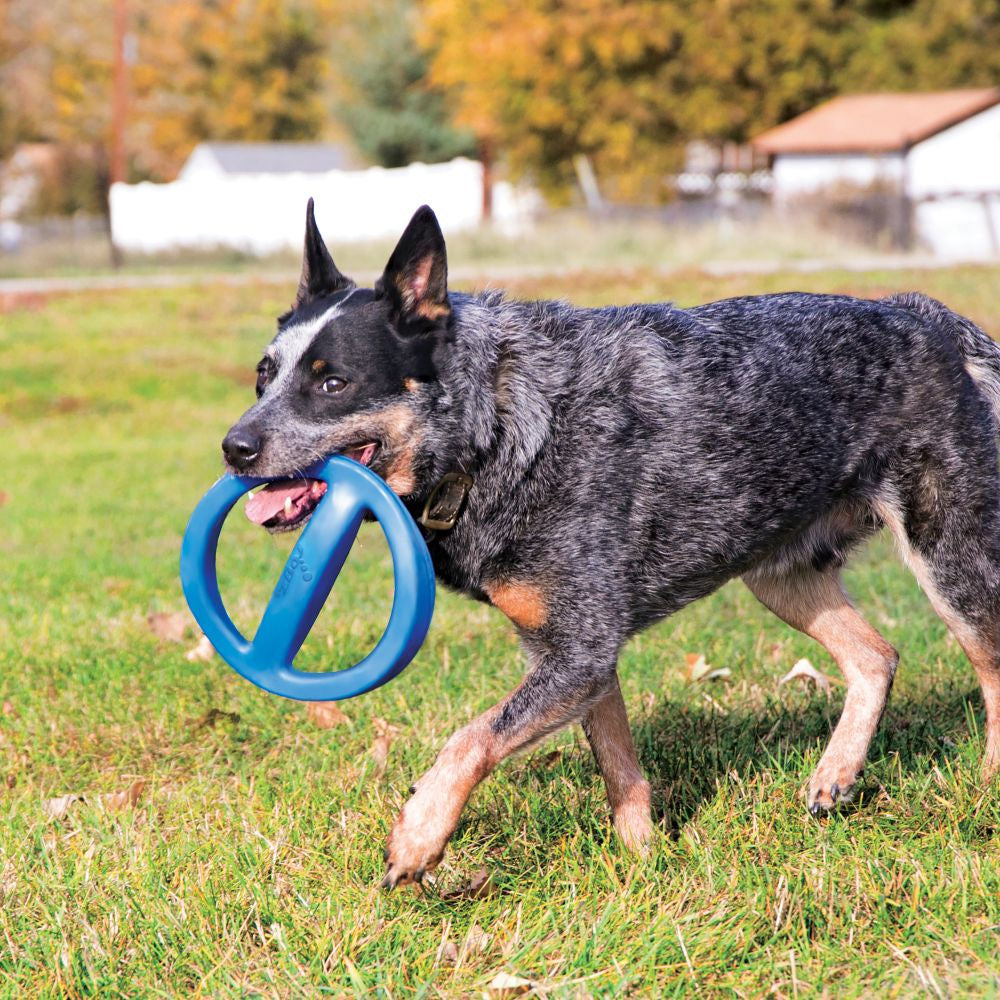 KONG ROGZ  Flingz Tire Dog Toy