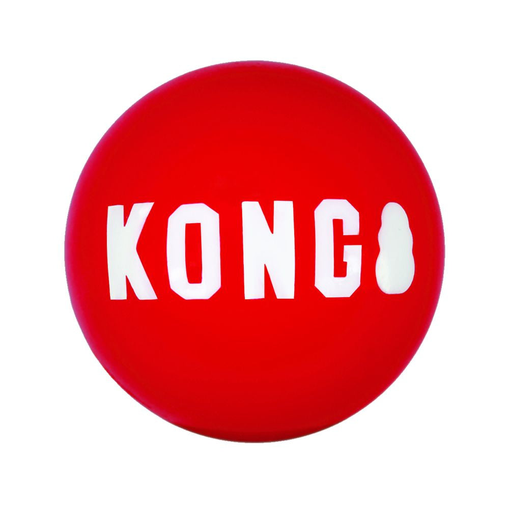 KONG Signature Balls Dog Toy