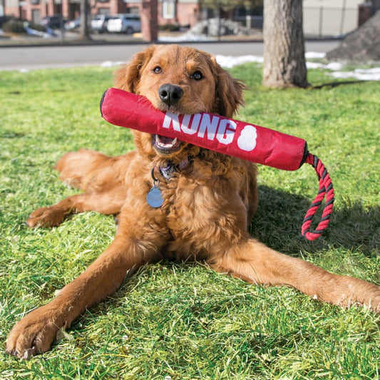 KONG Signature Stick with Rope Dog Toy