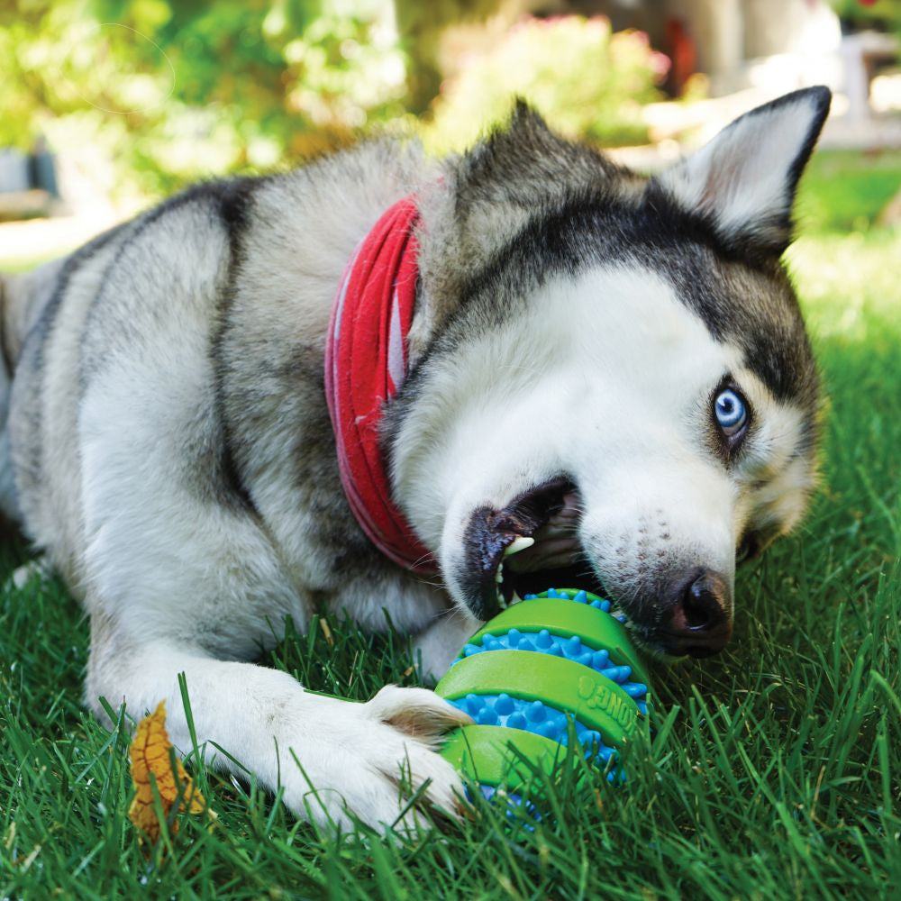 KONG Squeezz Goomz Ball Dog Toy