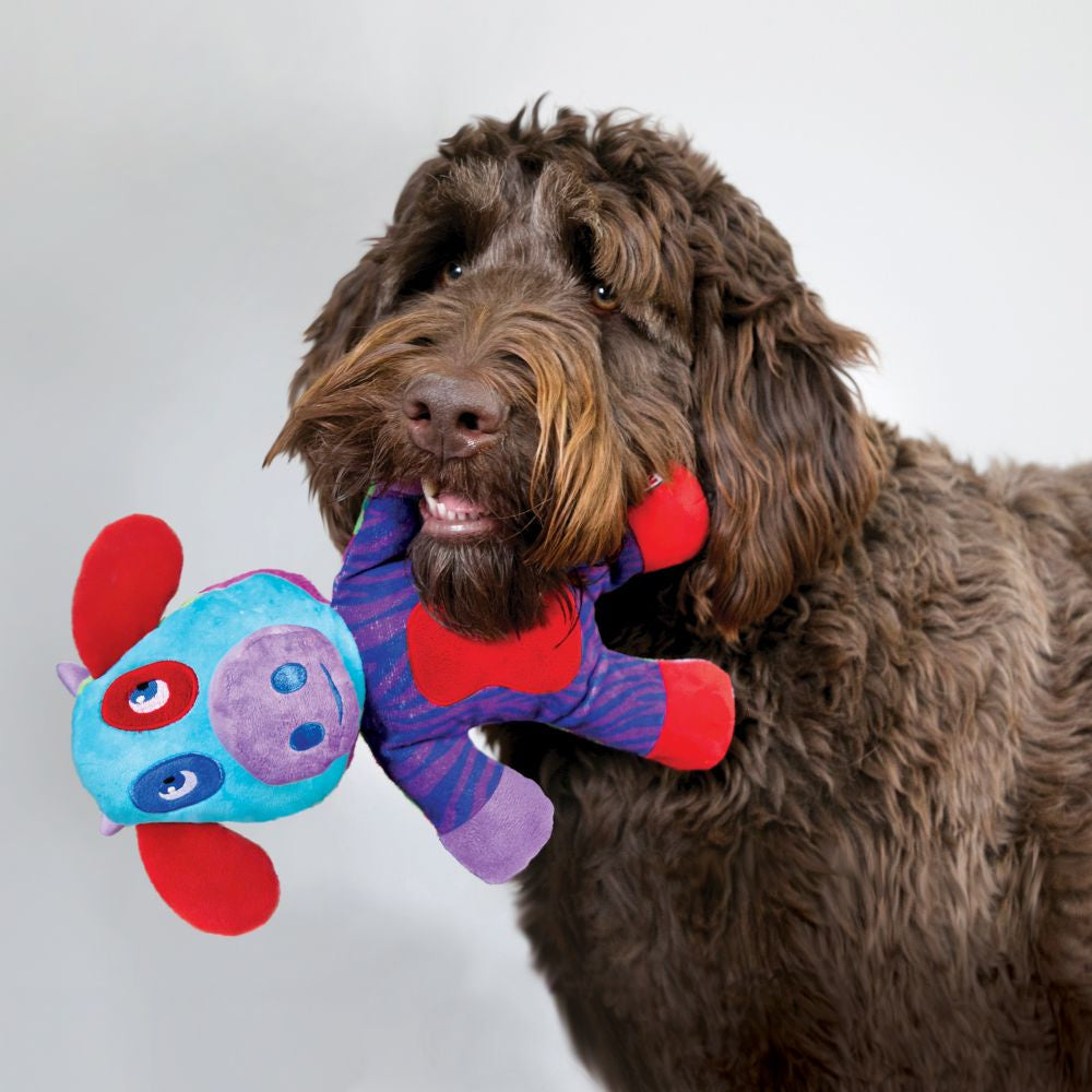 KONG Switcheroos Dog Toy