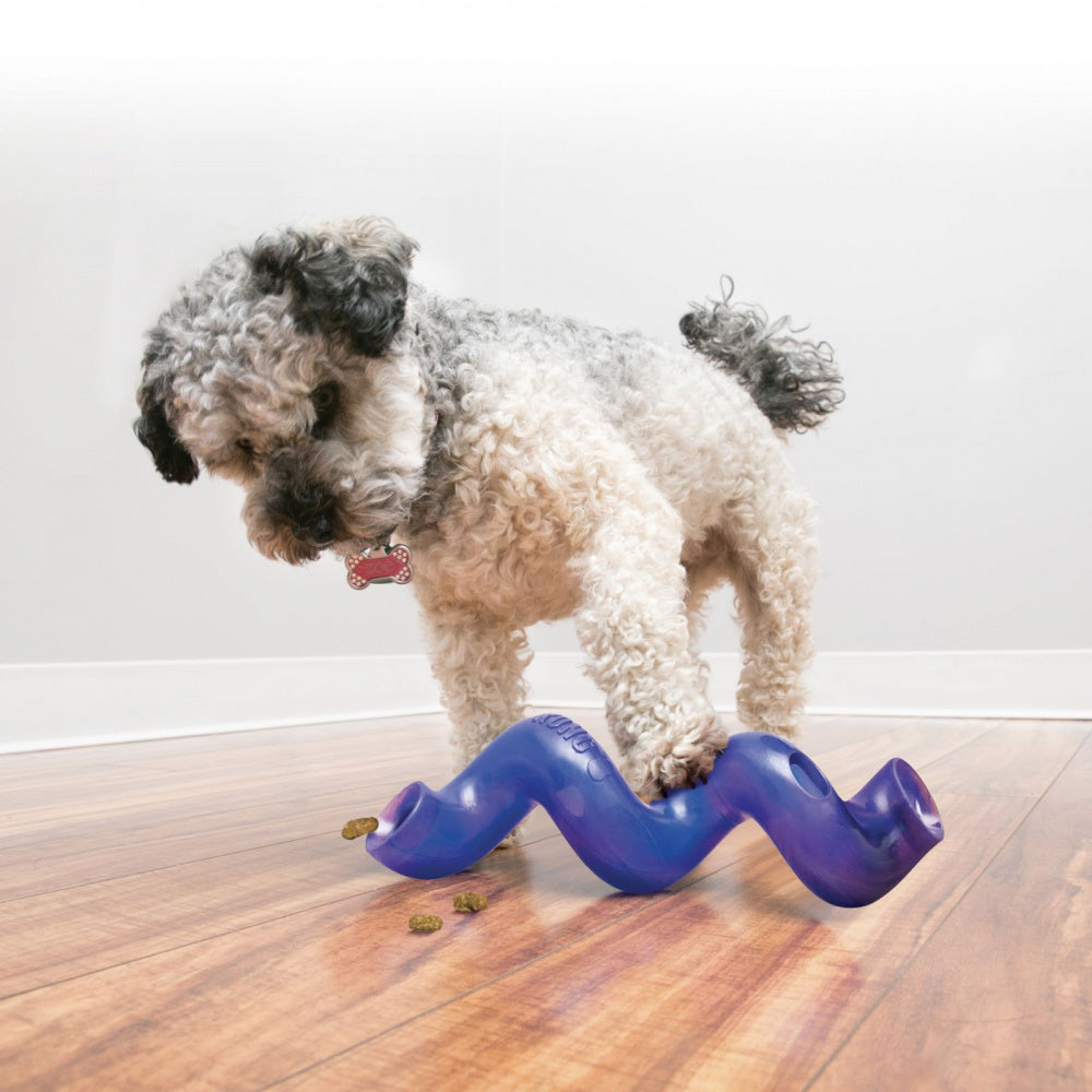 KONG Treat Spiral Ring  Dog Toy