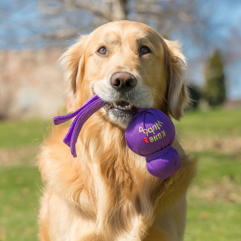 KONG Wubba  Mega Dog Toy (Colors Vary)