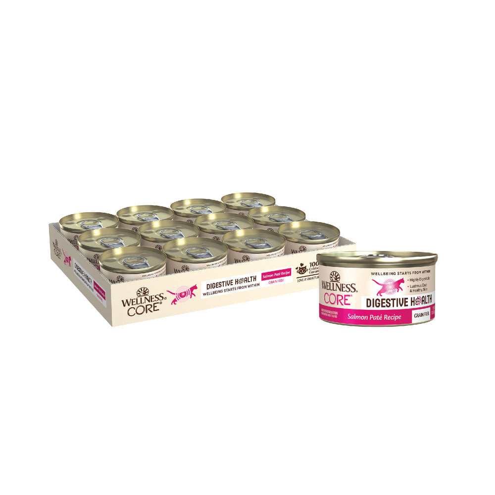 Wellness Core Digestive Health Salmon Pate Recipe Canned Cat Food