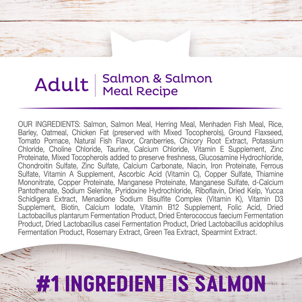 Wellness Complete Health Adult Health Salmon & Salmon Meal Recipe Dry Cat Food