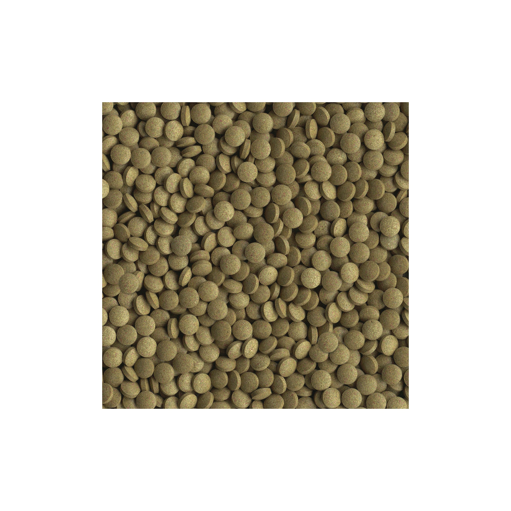 Tetra Min Tropical Tablets Bottom Feeder Fish Food