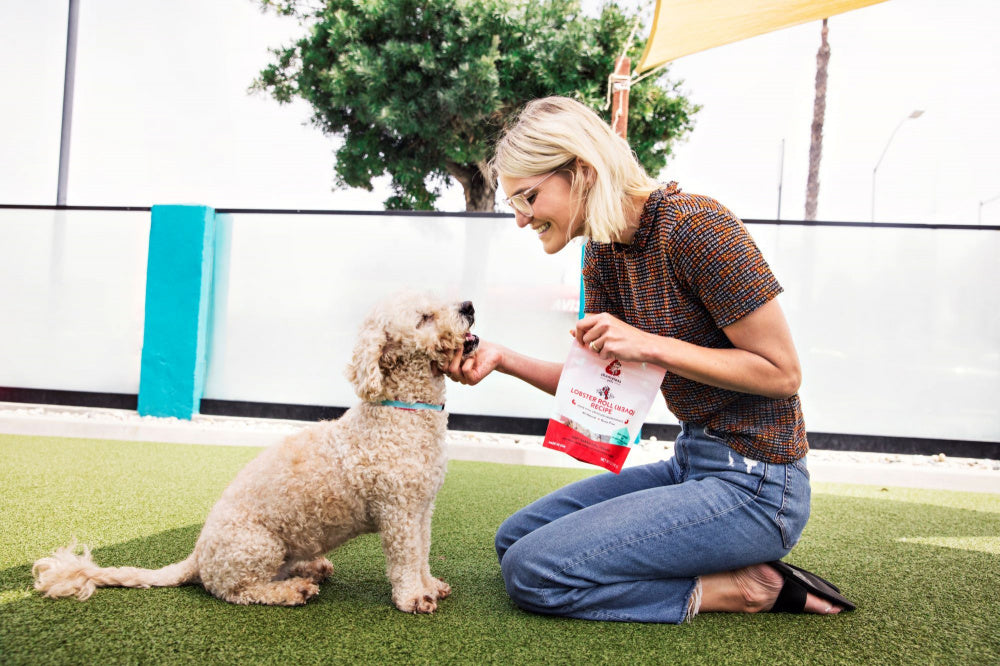 Shameless Pets Lobster Rollover Soft-Baked Dog Treats