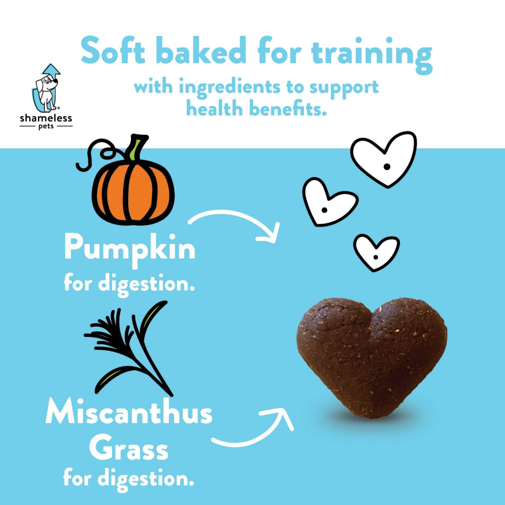 Shameless Pets Pumpkin Nut Par-Tay Soft-Baked Dog Treats