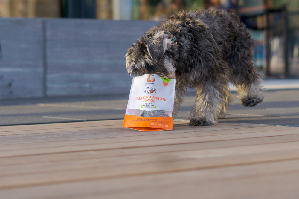 Shameless Pets Clucken' Carrots Soft-Baked Dog Treats