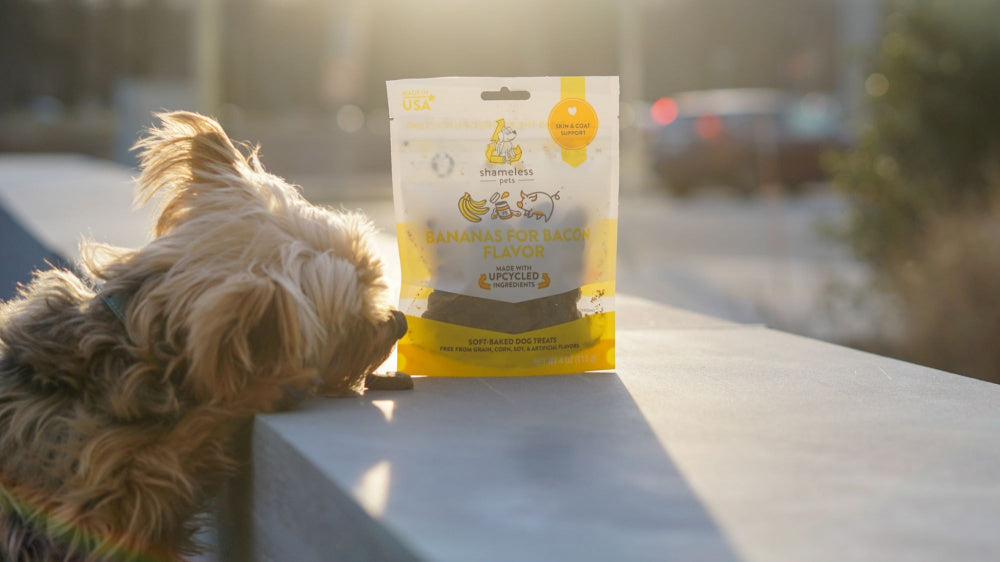 Shameless Pets Bananas for Bacon Soft-Baked Dog Treats