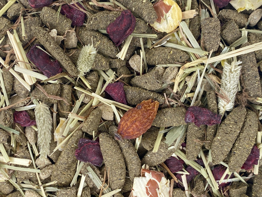 Versele-Laga Nature Forage Blend Guinea Pig Food