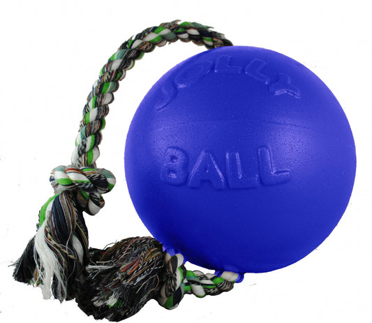 Jolly Pets Romp N Roll Blue Dog Toy