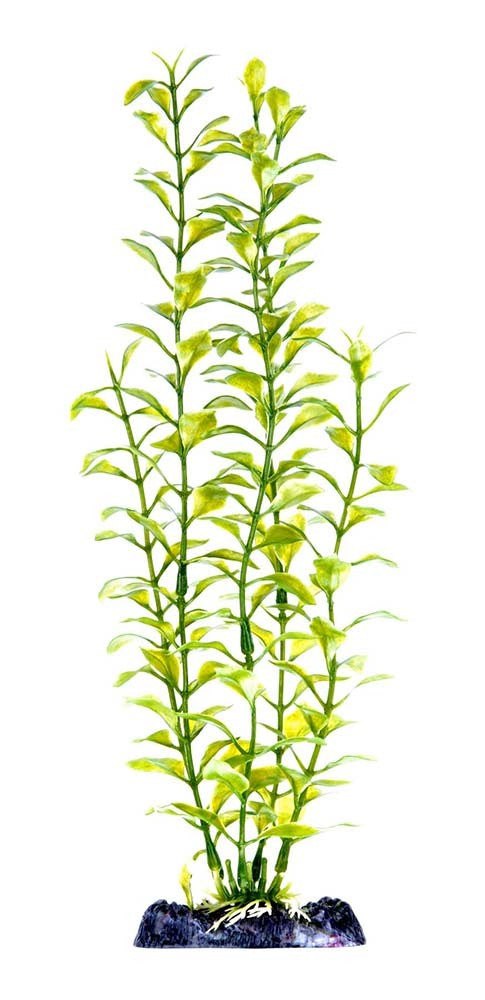 Penn-Plax Aquarium Decor Blooming Ludwigia Green