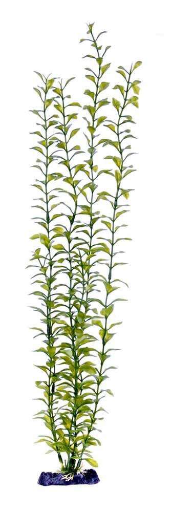 Penn-Plax Aquarium Decor Blooming Ludwigia Green