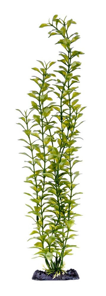 Penn-Plax Aquarium Decor Blooming Ludwigia Green