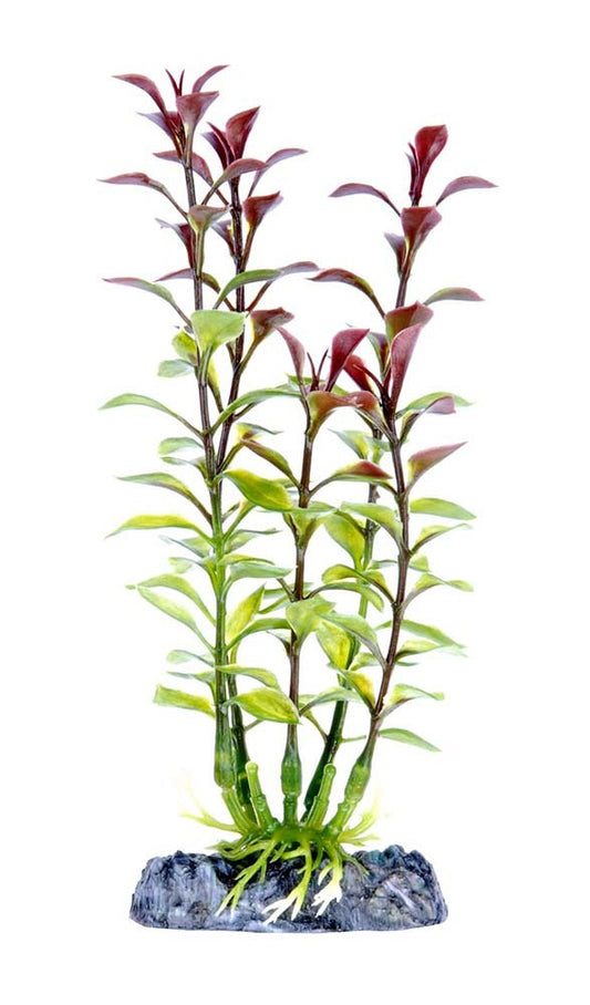 Penn-Plax Aquarium Decor Blooming Ludwigia Red