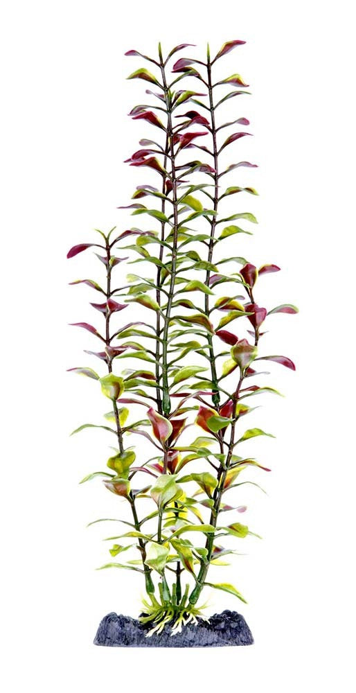 Penn-Plax Aquarium Decor Blooming Ludwigia Red