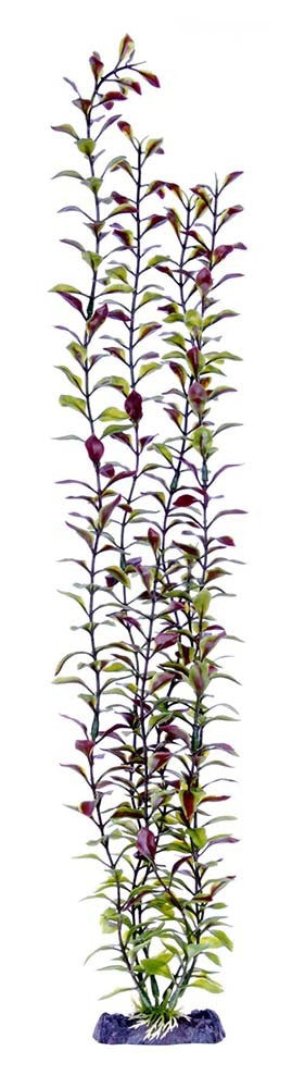 Penn-Plax Aquarium Decor Blooming Ludwigia Red