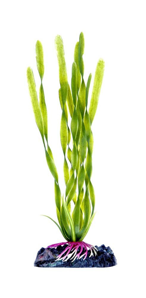 Penn-Plax Aquarium Decor Corkscrew Vallisneria Green