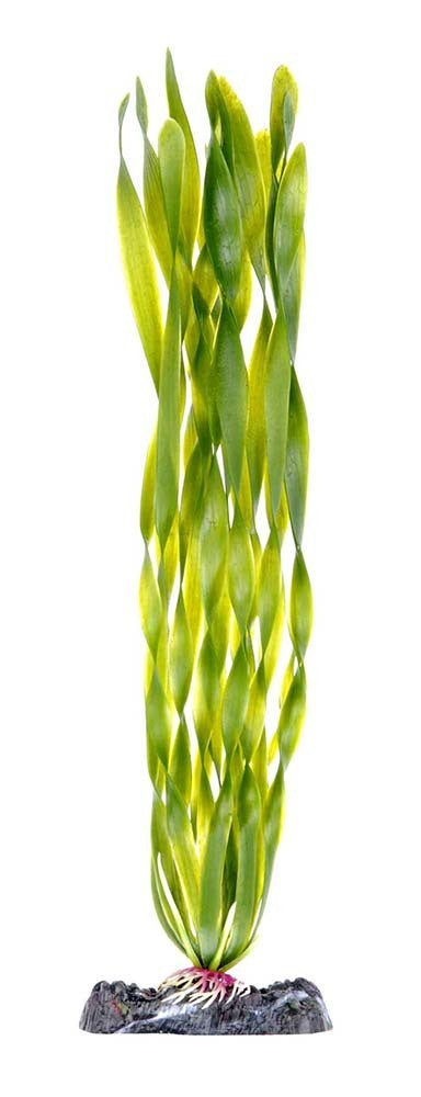 Penn-Plax Aquarium Decor Corkscrew Vallisneria Green