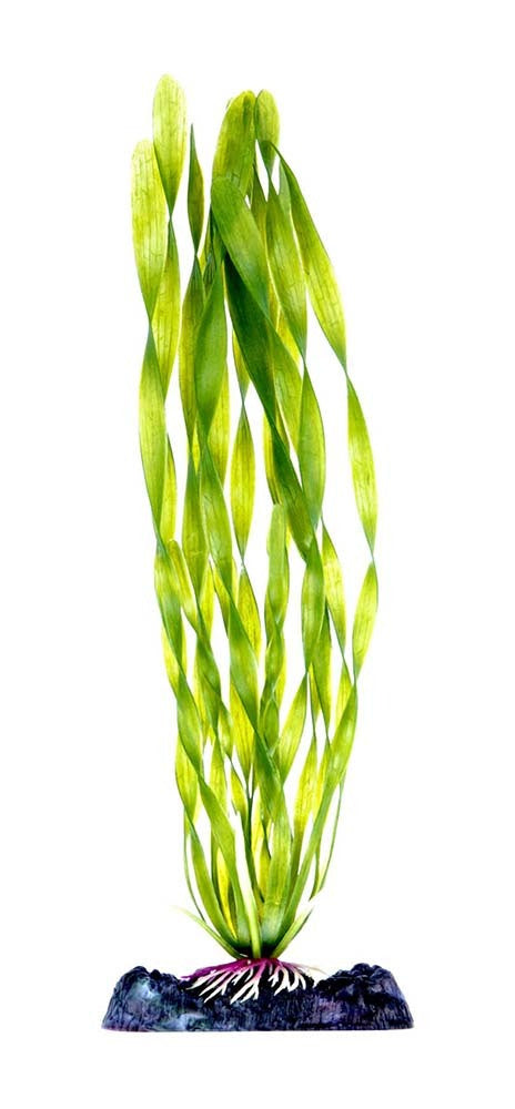 Penn-Plax Aquarium Decor Corkscrew Vallisneria Green