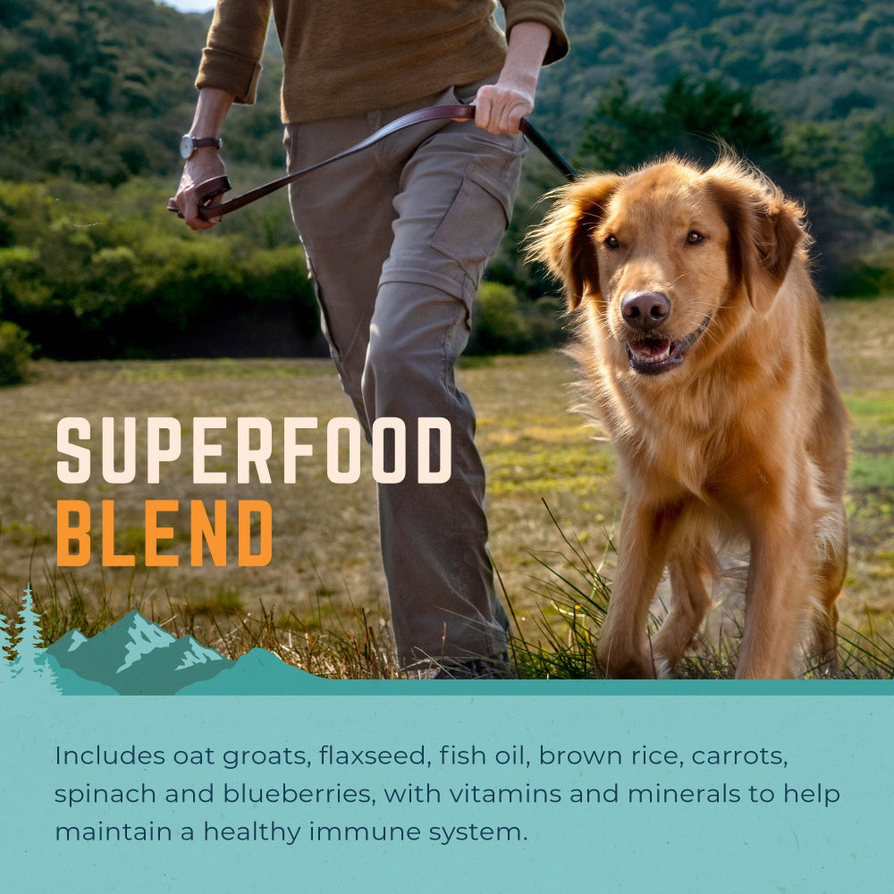 Natural Balance Original Ultra All Life Stage Chicken & Barley Bites Large Breed Recipe Dry Dog Food