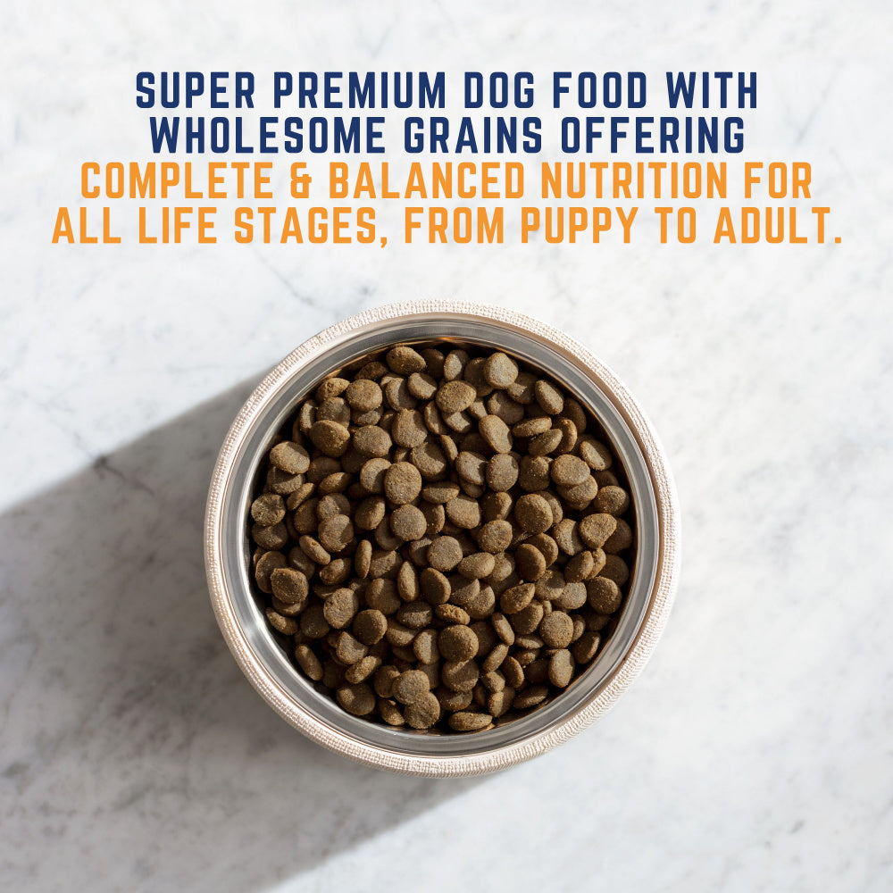 Natural Balance Original Ultra All Life Stage Chicken & Barley Bites Large Breed Recipe Dry Dog Food